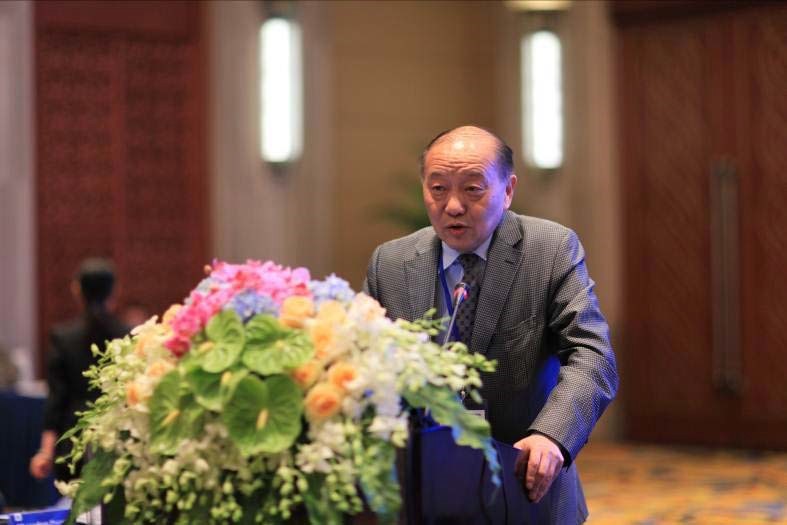 中国社会科学院蓝迪国际智库项目专家委员会委员、中国产业海外发展和规划协会秘书长胡卫平致辞.jpg