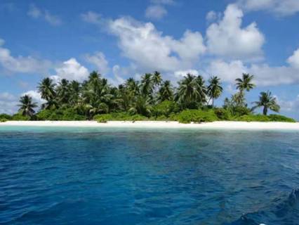 蓝迪智库平台机构华房会促成马尔代夫棕榈岛旅游项目